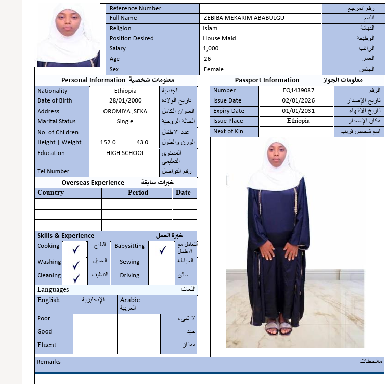 السيرة الذاتية لـ ZEBIBAMEKARIMABABULGU
