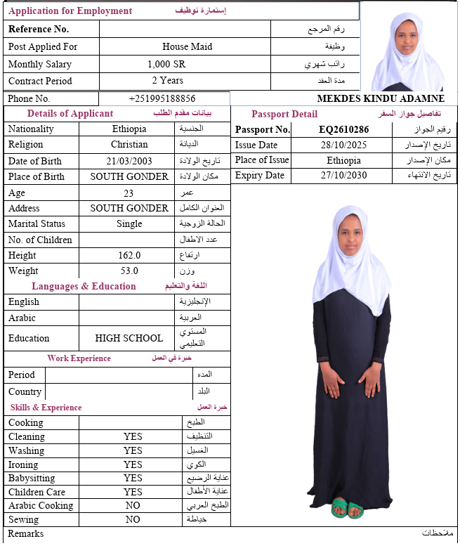 السيرة الذاتية لـ MEKDES KINDU ADAMNE