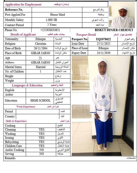 السيرة الذاتية لـ BISKUT DINJER CHERNET